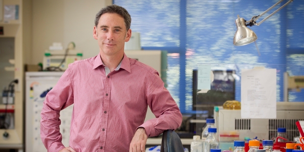 Massey University senior lecturer Dr Austen Ganley is filling in the gaps. Photo / Natalie Slade