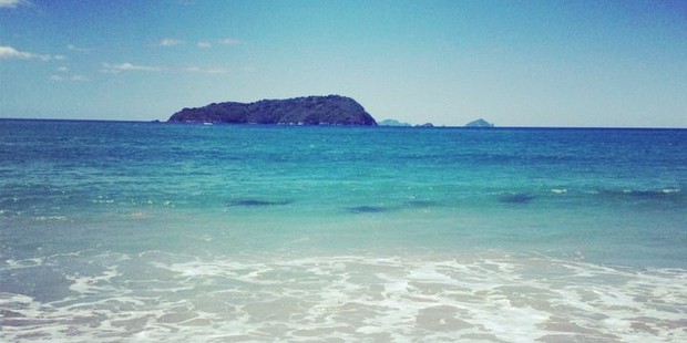 Shark shadows are seen in the water at Pauanui Beach. Photo / Loren Morse
