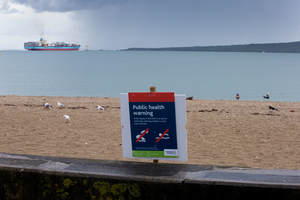 Auckland Council says Mission Bay is the only Auckland beach that has tested unsafe for swimming. Photo / Brett Phibbs