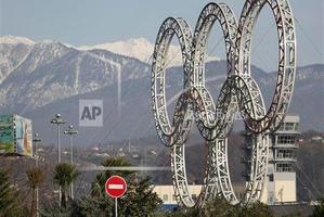 Olympic rings for the 2014 Winter Olympics are installed in the Black Sea resort of Sochi, southern Russia. Photo / AP