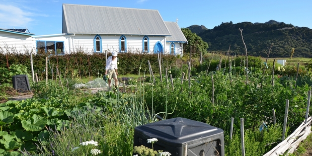 The writer deposited her food waste in Great Barrier Island community garden compost bins in return for a day's watering duty. Photo / Meg Liptrott