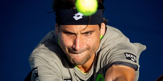 David Ferrer says consistency is very important for him. Photo / Sarah Ivey