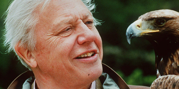 Sir David Attenborough says seeing monkeys ripped apart by chimps was the most distressing sight of his career.