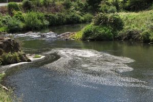 Ohinemuri River.