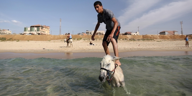 Work may be grinding to a halt on many projects in Gaza but that hasn't stopped people enjoying themselves on Gaza City's beaches. Photo / AP