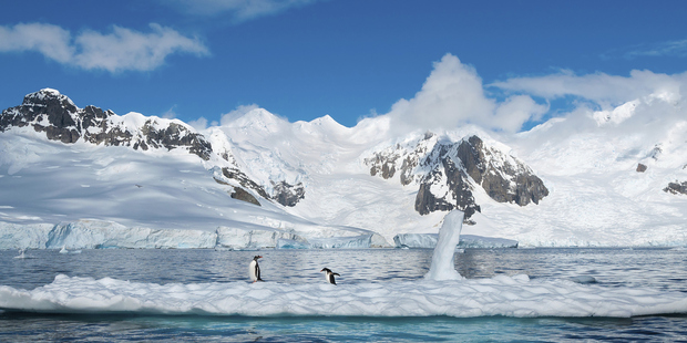 Photo / Thinkstock
