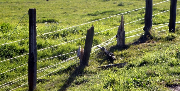 TRAGEDY: It's believed a horse bolted and broke through this fence, near where the body of Camille Ferris was found yesterday. PHOTO/PAUL TAYLOR HBT142205-03