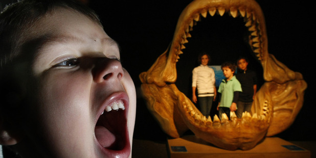 The megalodon monster shark exhibition. Photo / Steven McNicholl