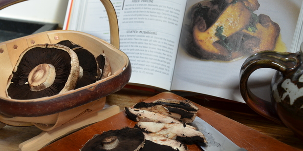 Mushrooms freshly gathered have a wonderful aroma. Photo / Meg Liptrot