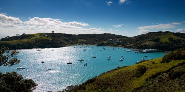 Ross Adventures has been in operation for 26 years and is situated right by the ferry terminal on Waiheke Island. Photo / Adrian Malloch