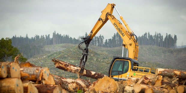 Ten forestry deaths were recorded last year. Photo / File