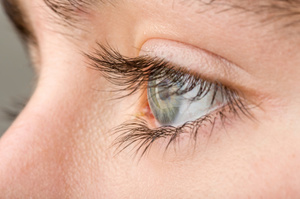 Photo / Thinkstock
