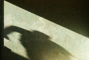 Police want help to identify a young boy they believe has been responsible for five indecent assaults in the Auckland suburb of Papakura. Photo / Thinkstock