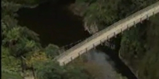 The Berryman bridge. Photo/File