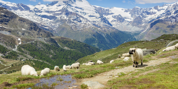 Switzerland has voted against a minimum wage that would have been the highest in the world. Photo/ Getty Images