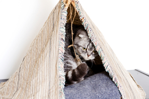 Home-maade tepee. Photo / Babiche Martens.