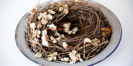 Dried flowers in birds nest. Photo / Babiche Martens.