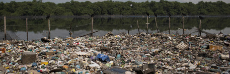 Sailors warned over sewage-infested waters, dog carcasses and 'human corpses'