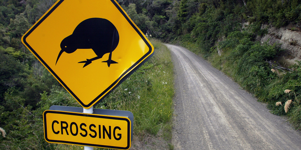 KiwiSaver jargon can be a tough road to navigate. Photo/ Steven McNicholl.