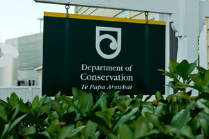 File photo / APN