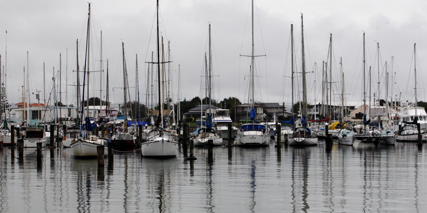 A $10million marine precinct planned for Tauranga's Sulphur Point is doomed to fail, property developer Ian Dustin says.