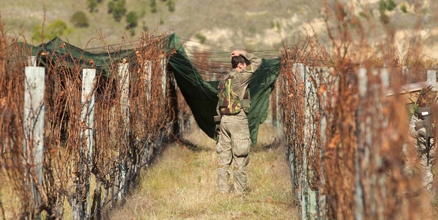 Members of the military are seen wandering around after the supply load was dropped off target into a vineyard. Photo / Alan Gibson