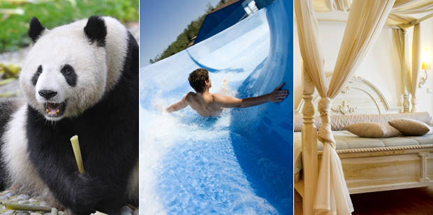 Some of the best jobs in the world include being a caretaker for giant pandas, testing waterslides at theme parks and travelling the world in luxury. Photos / Thinkstock