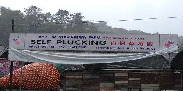 This sign at a strawberry farm was spotted during a recent trip to Cameron Highlands Resort in Malaysia.