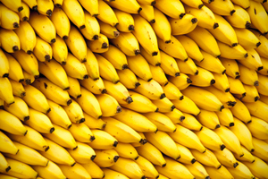 Photo / Thinkstock
