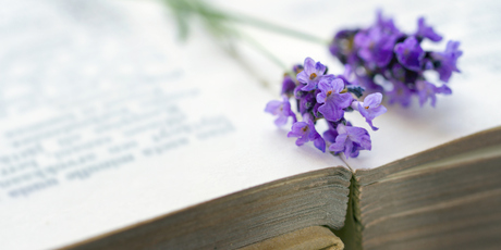 Historical fiction can teach us things we didn't know about our human past. Photo / Thinkstock