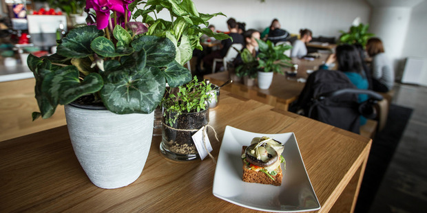 The food at The Botanist is delicious but there should be more of it on a full-size plate. Photo / Michael Craig