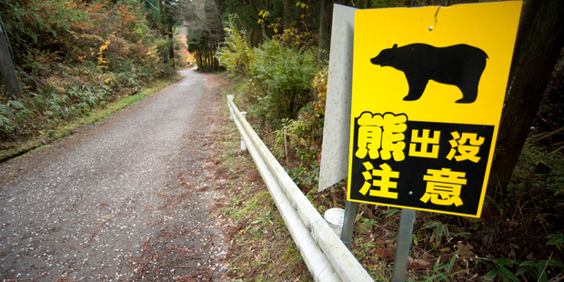 A sign reading 'Beware - bear haunt' on a Hokkaido forest trail. Photo / Daisuke Kondo