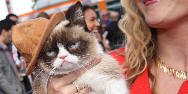 Grumpy Cat arrives at the MTV Movie Awards.
Photo / AP