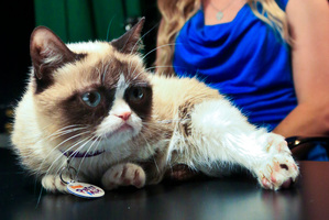 Grumpy Cat and her owner Tabatha Bundesen.
Photo / AP