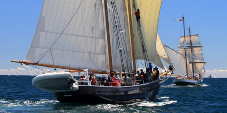 The tall ships race is held in January. Photo / Stephen Western