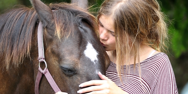 Ashleigh Kearns is helping Stella back to health. Photo/Duncan Brown