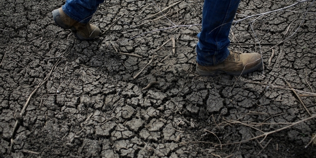 Climate change arguments aside, experts say extreme weather events now mean farming has to change. Picture / AP