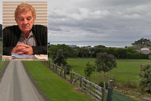 The beach where the tree felling occurred. Inset: Timothy Tasker. Photos / Google, Duncan Brown