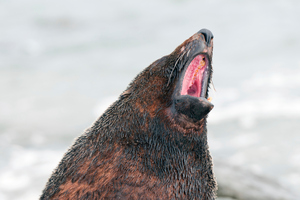 Photo / Thinkstock