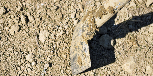 Photo / Thinkstock