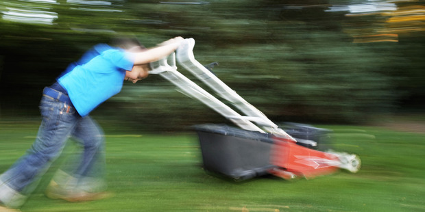 How many 'computer dollars' should a child earn for mowing the lawn? Photo / Thinkstock