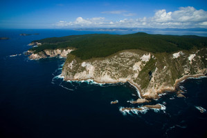 Mercury Island. File photo / Adrian Malloch