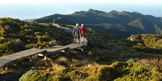 The boardwalk stretches enticingly downhill on the Hump Ridge Track in Southland.