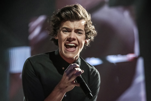 A saucy series of novels featuring heartthrob Harry Styles have been commissioned.
