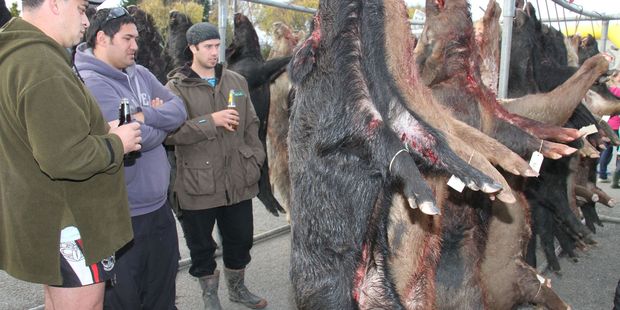 Pictures of large, dead mammals covered in blood is not something you can run in every newspaper.