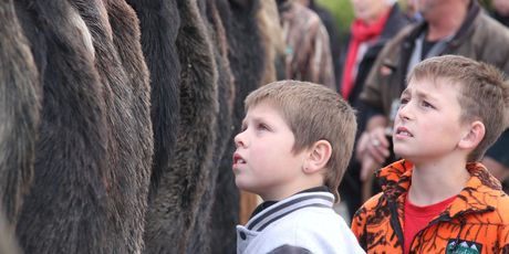 Shaye Dennison, 8 (left) and Joel Hodson, 10, both of Masterton, check out a wall of fur.