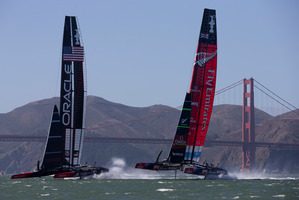 Picture / Brett Phibbs