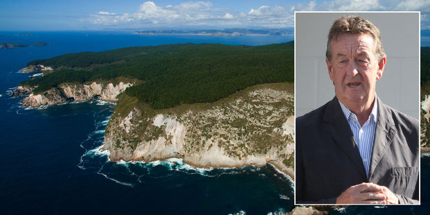 DoC is paying for half of a $1.5m pest control programme on Great Mercury Island. Photo / Adrian Malloch