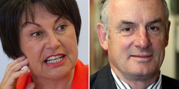 Hekia Parata denies the allegations by Trevor Mallard. Photo / APN