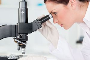 Researchers from across New Zealand made up a total of 50 projects to get a financial go-ahead.
Photo / 123RF